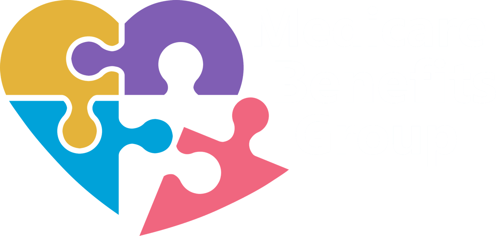 Experienced Medicare Broker Consulting with Client in Michigan